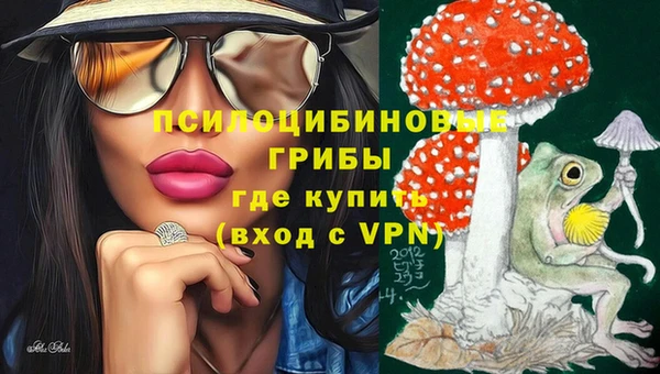 соль курить ск Абаза