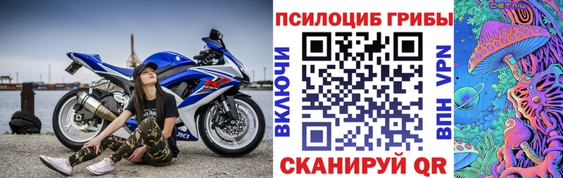 Псилоцибиновые грибы прущие грибы blacksprut вход Курчатов
